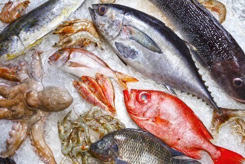 Uzak Durmanız Gereken 9 Sağlıksız Balık Çeşidi