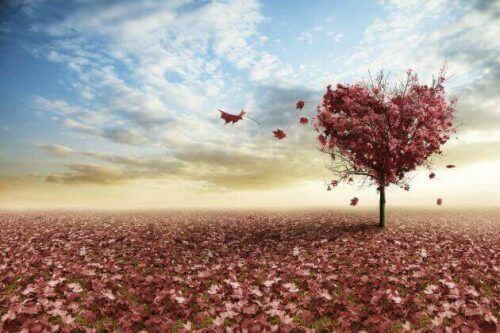 sonbahar ve kalp resmi