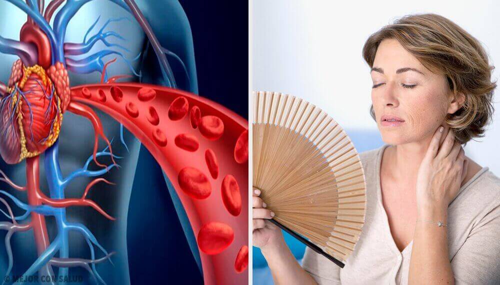 Menopoz Kalp Sağlığını Nasıl Etkiler? Menopoz Kalp Sağlığını Nasıl Etkiler?