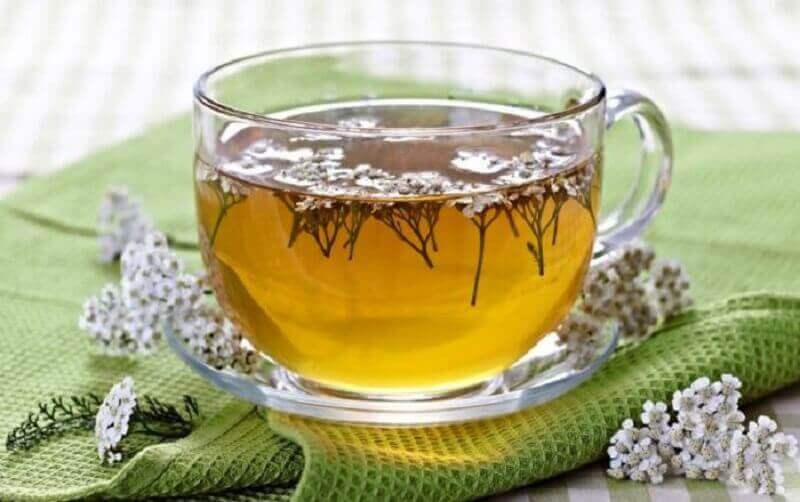 iştahsız çocuklar için civanperçemi çayı