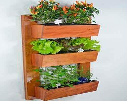 duvara asılı saksılar