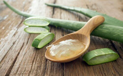 tahta kaşıkta aloe vera
