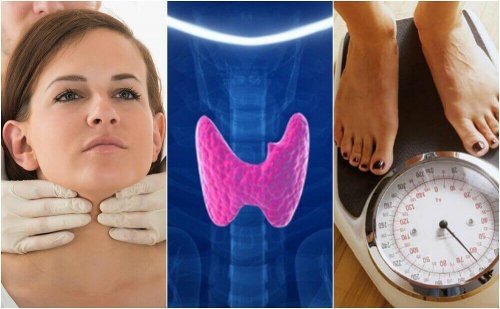 Hipotiroidizmden Muzdarip Olma İhtimalinizin 10 İşareti