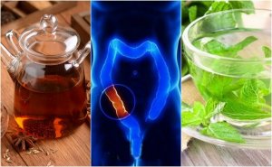 Kalın Bağırsağı Temizlemek İçin 5 Çay Tarifi