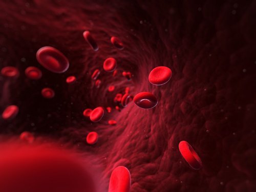 damarda kırmızı kan hücreleri