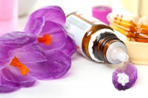 Bach Çiçekleri Terapisi Basit Bir Şekilde Nasıl Öğrenilir?