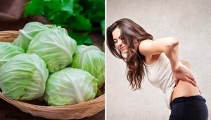 Fıtıkları Zayıflatmak İçin Kil, Sirke Ve Lahana Reçetesi