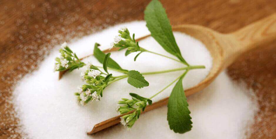stevia yaprakları