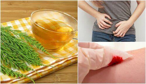 at kuyruğu ve yararları