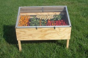 Evde Güneş Enerjili Gıda Kurutma Sistemi Yapmak