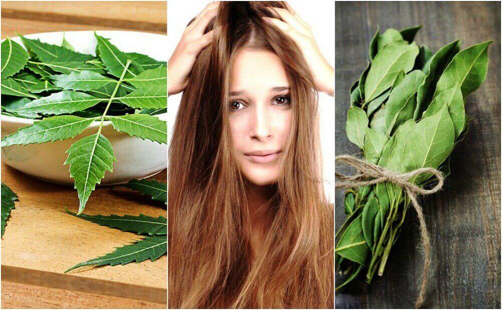 saçlar için biberiye yağı