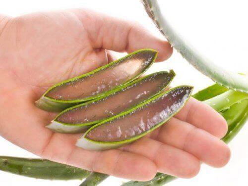 cildinizi nemlendirecek aloe vera jeli