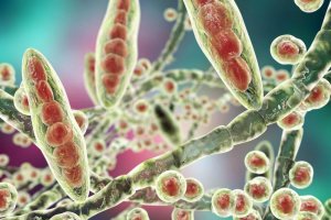 Ayak Mantarı İçin Bu Ev Yapımı Reçeteleri Deneyin