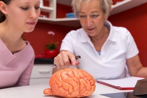 multiple skleroz ve beyin üzerindeki etkisi