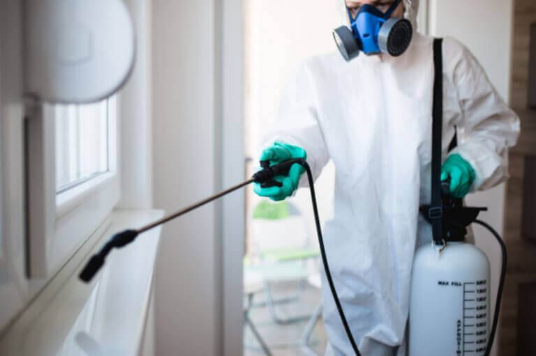 termitler için ilaçlama