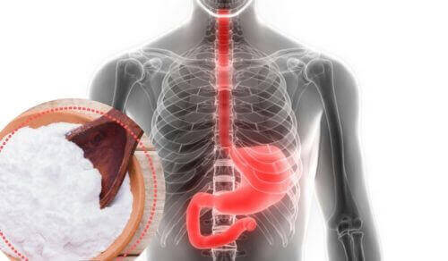karbonat ve insan iskeleti