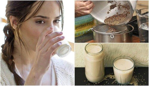 Kilo Vermeye Yardımcı Olmak için Kanarya Tohumu