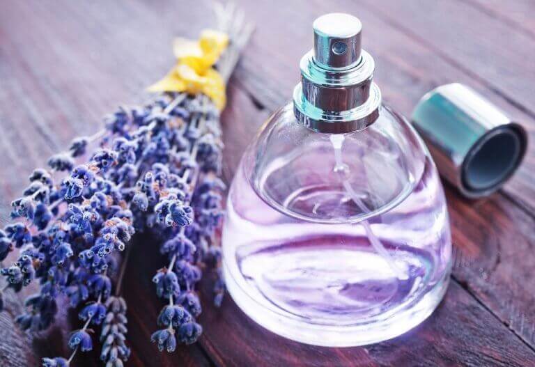 lavanta parfüm