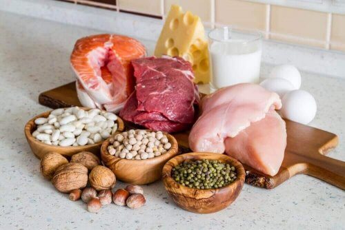 protein ve yağ
