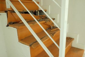 Evdeki Termitler ve Kurtulmak İçin İpuçları