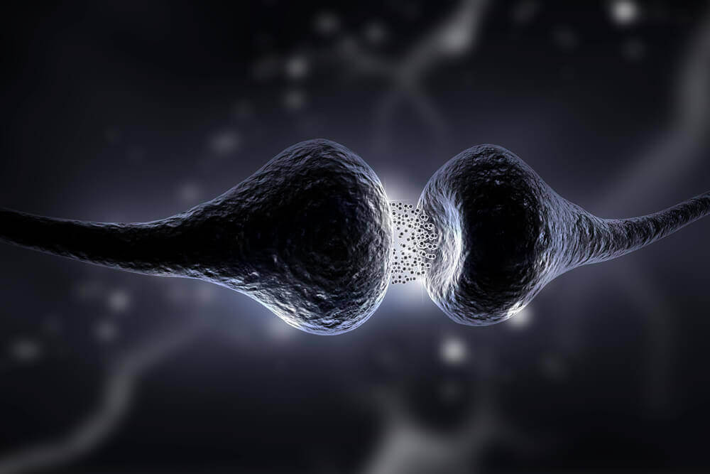 Serotonin Diyeti: Ne Olduğunu ve Faydalarını Keşfedin