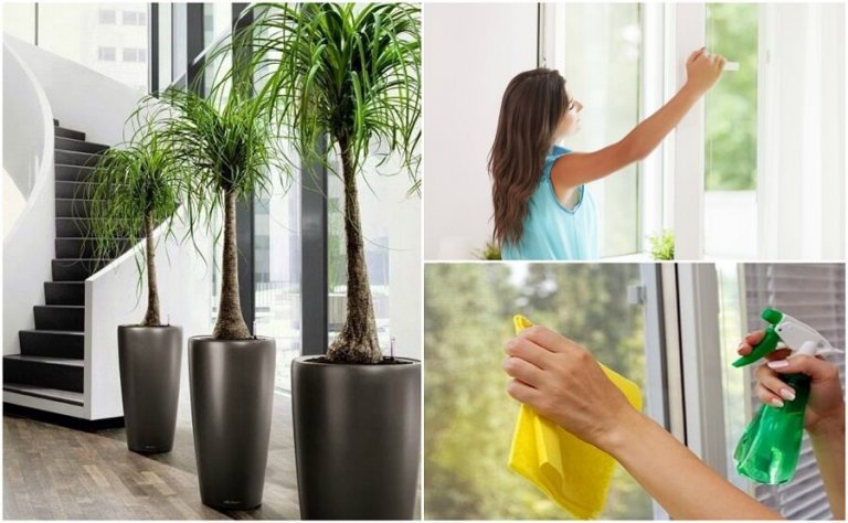 Evinizin Havasını İyileştirmek İçin Yapabileceğiniz 6 Şey