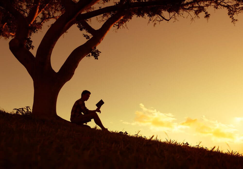 gün batımında kitap okuyan adam