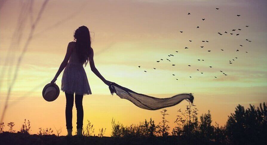 uçan kuşlar ve gün batımı