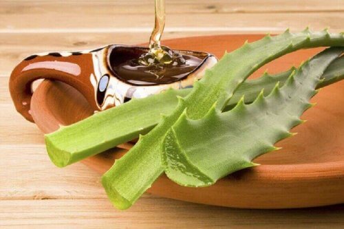 aloe vera