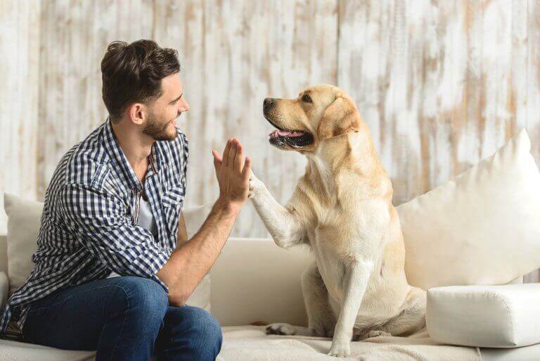 adam ve köpek çak yapıyor
