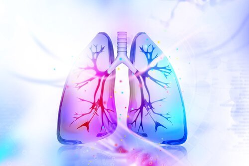 Akciğerlerinize Detoks Yapmak İçin Bu Doğal Çözümleri Deneyin