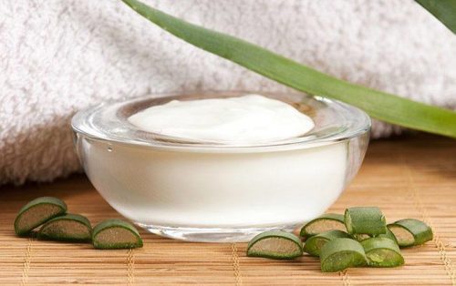 aloe vera