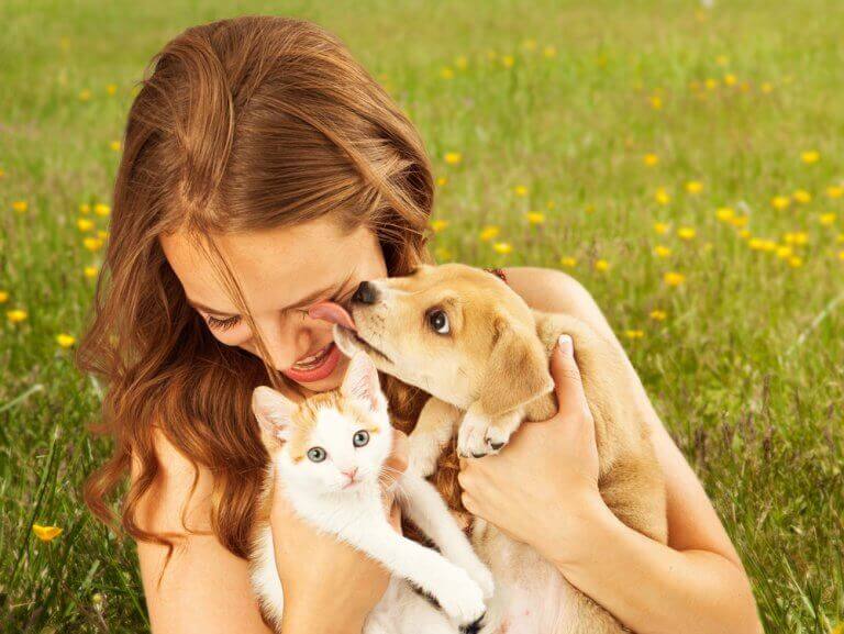 kadın kedi ve köpek mutlu