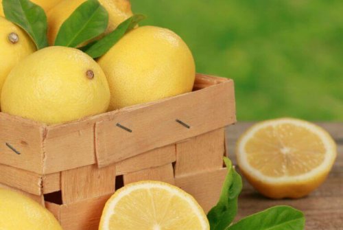 limonlar limon kasası