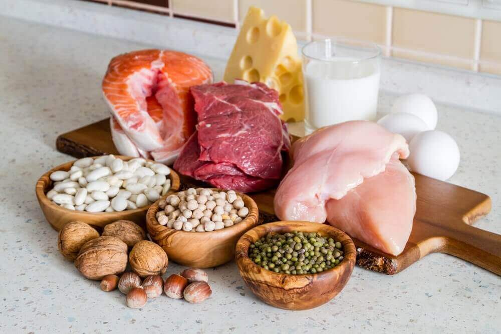 protein içeren gıdalar