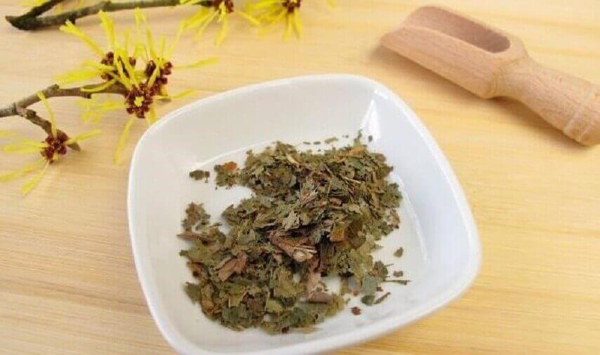 cadı fındığı çayı