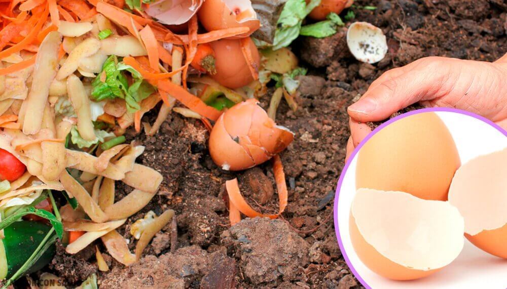 toprakta artık kabuklar