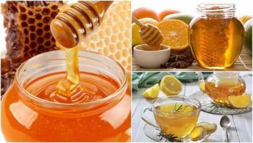 Sağlığınızı Geliştirmek İçin Bal İçeren 5 Reçete Nasıl Hazırlanır