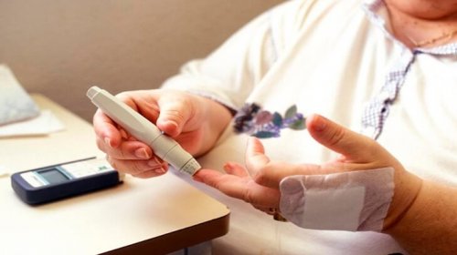 deve dikeninin diyabete faydaları