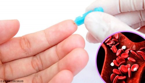 Normal Hemoglobin Seviyelerini Korumak İçin 6 İdeal Yiyecek