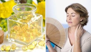 Akşam Çiçeği Nedir ve Faydaları Nelerdir?