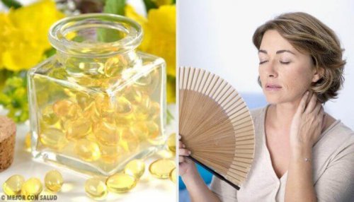 Akşam Çiçeği Nedir ve Faydaları Nelerdir?