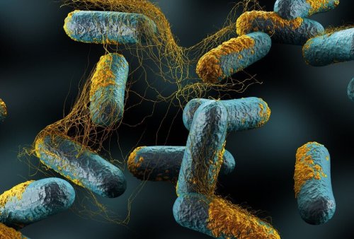 yılancık hastalığının sebepleri