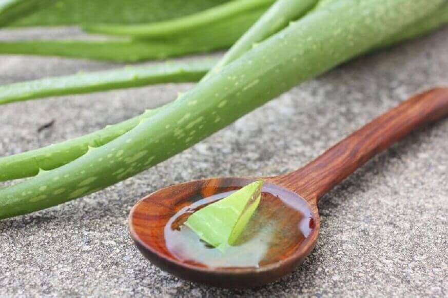 kaşıkta aloe vera