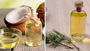 Zayıflatıcı ve Besleyici Hindistan Cevizi, Greyfurt ve Biberiye Yağı Losyonu