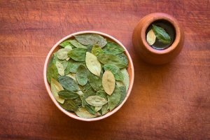 Koka Yaprağı Çayı Ve Sağlığa Şaşırtıcı Yararları