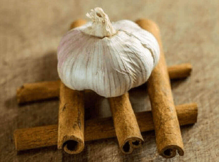 tarçın çubukları ve sarımsak