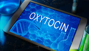 oksitosin hormonu