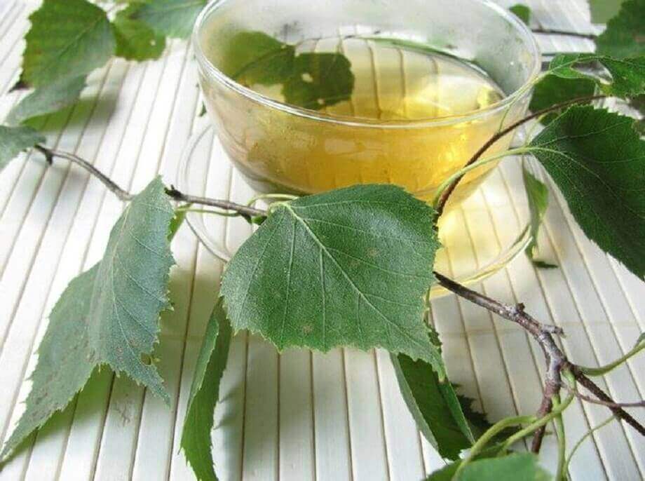 huş ağacı aroması