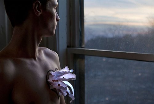 kalbinden çiçek çıkan erkek pencere